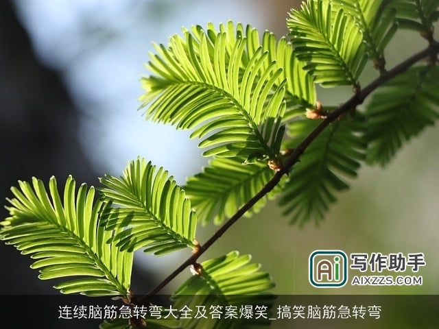 连续脑筋急转弯大全及答案爆笑_搞笑脑筋急转弯 连续脑筋急转弯大全及答案爆笑_搞笑脑筋急转弯