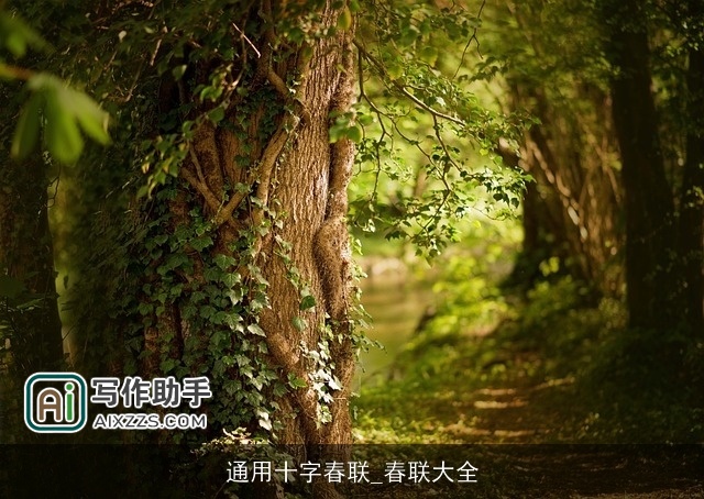 通用十字春联_春联大全 通用十字春联_春联大全