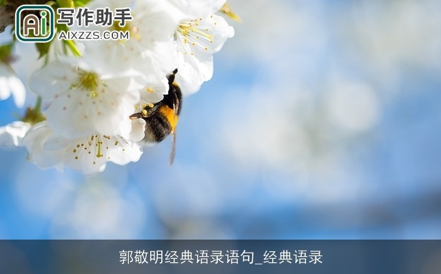 郭敬明经典语录语句_经典语录 郭敬明经典语录语句_经典语录