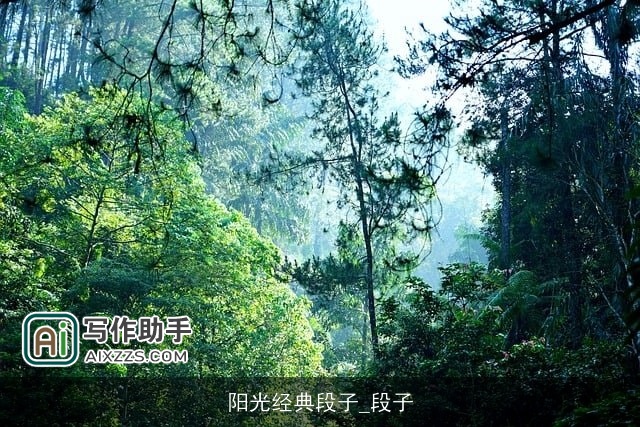 阳光经典段子_段子 阳光经典段子_段子