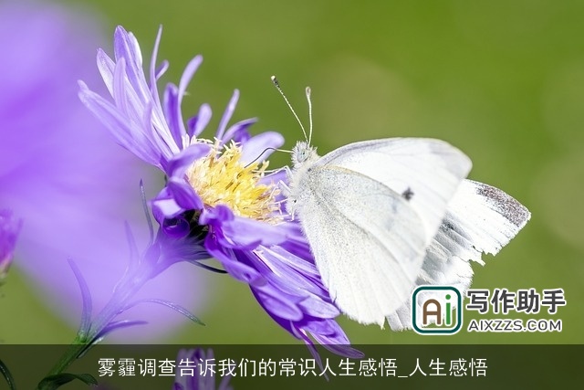 雾霾调查告诉我们的常识人生感悟_人生感悟 雾霾调查告诉我们的常识人生感悟_人生感悟