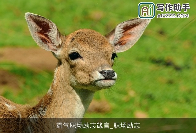 霸气职场励志箴言_职场励志 霸气职场励志箴言_职场励志