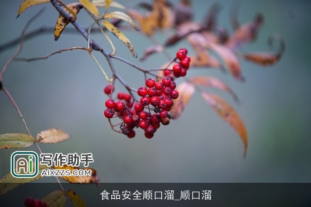 食品安全顺口溜_顺口溜 食品安全顺口溜_顺口溜