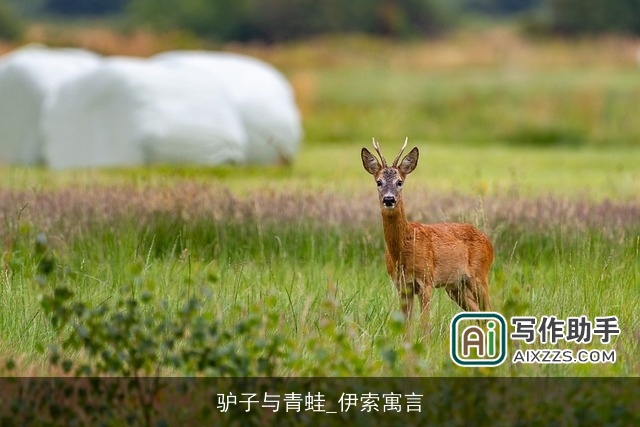 驴子与青蛙_伊索寓言 驴子与青蛙_伊索寓言