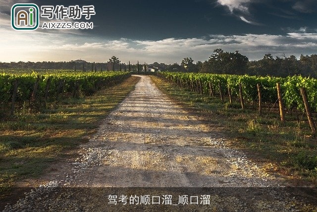 驾考的顺口溜_顺口溜 驾考的顺口溜_顺口溜