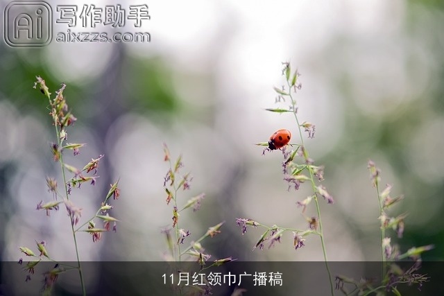 11月红领巾广播稿 11月红领巾广播稿