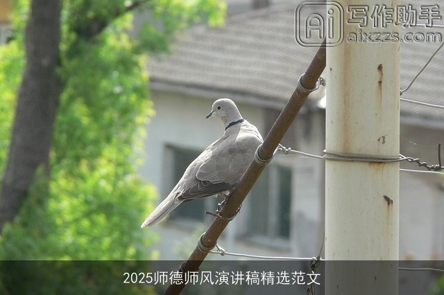 2025师德师风演讲稿精选范文 2025师德师风演讲稿精选范文