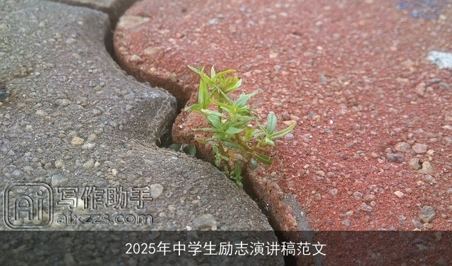 2025年中学生励志演讲稿范文 2025年中学生励志演讲稿范文