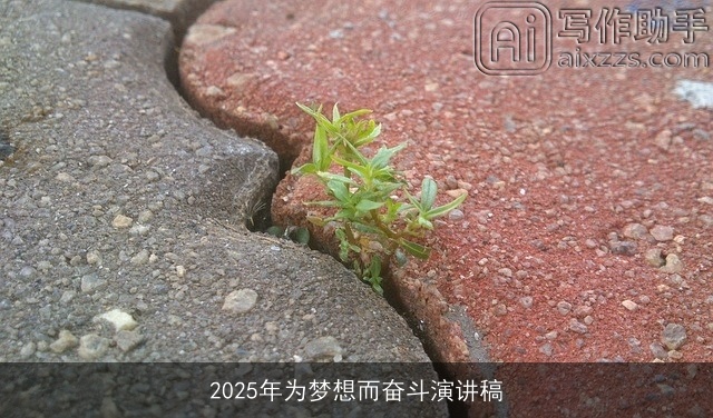 2025年为梦想而奋斗演讲稿 2025年为梦想而奋斗演讲稿