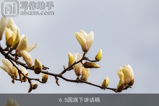 6.5国旗下讲话稿 6.5国旗下讲话稿