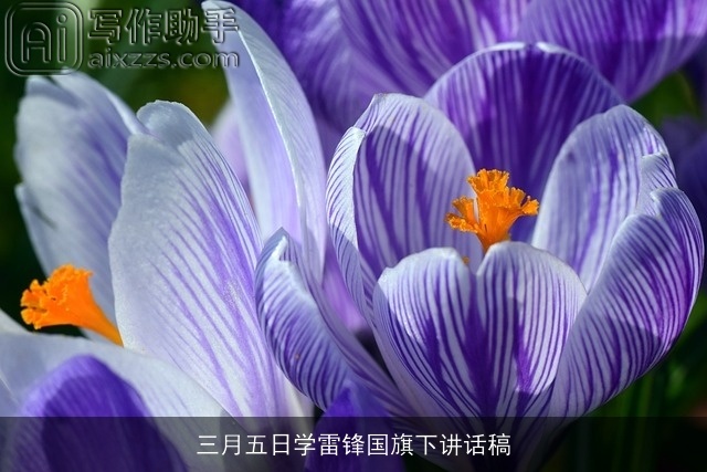 三月五日学雷锋国旗下讲话稿 三月五日学雷锋国旗下讲话稿