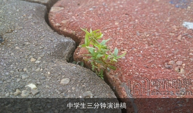 中学生三分钟演讲稿 中学生三分钟演讲稿