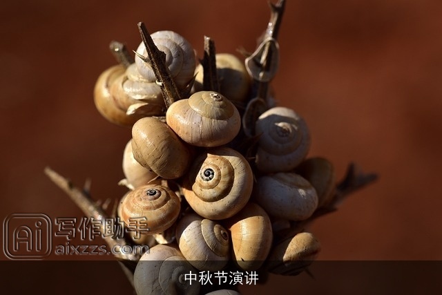 中秋节演讲 中秋节演讲