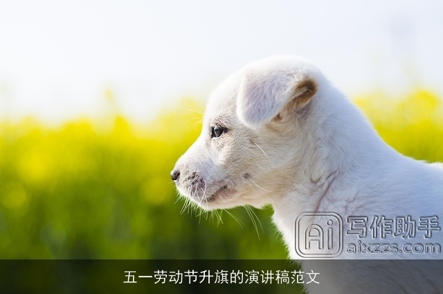 五一劳动节升旗的演讲稿范文 五一劳动节升旗的演讲稿范文