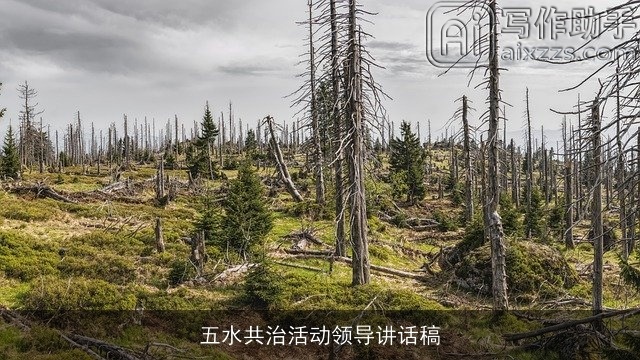 五水共治活动领导讲话稿 五水共治活动领导讲话稿