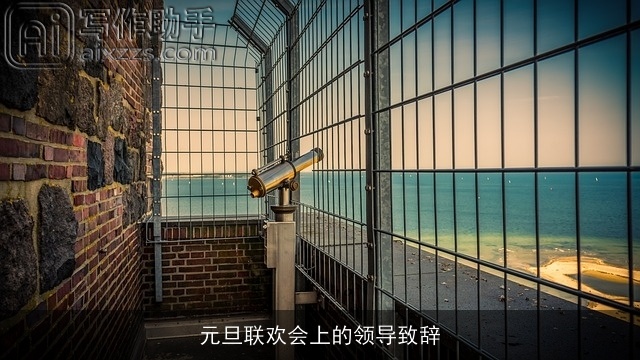 元旦联欢会上的领导致辞 元旦联欢会上的领导致辞