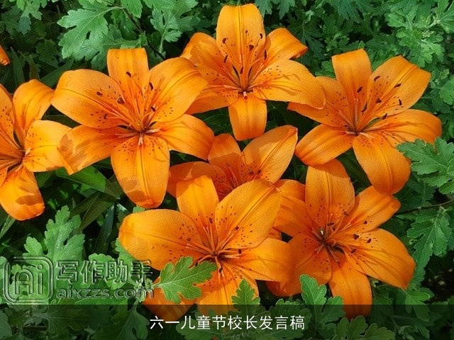 六一儿童节校长发言稿 六一儿童节校长发言稿