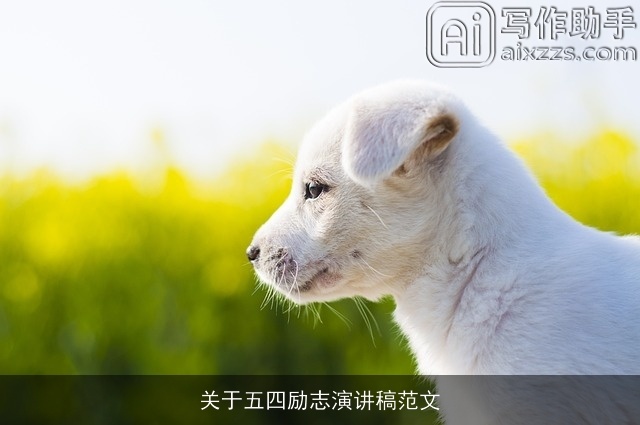 关于五四励志演讲稿范文 关于五四励志演讲稿范文