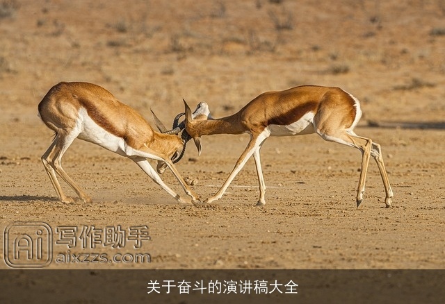 关于奋斗的演讲稿大全 关于奋斗的演讲稿大全