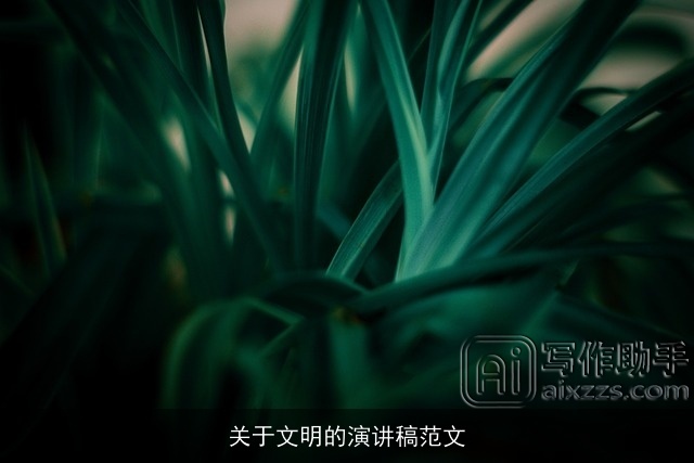 关于文明的演讲稿范文 关于文明的演讲稿范文