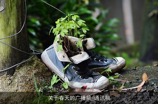 关于春天的广播稿_通讯稿 关于春天的广播稿_通讯稿