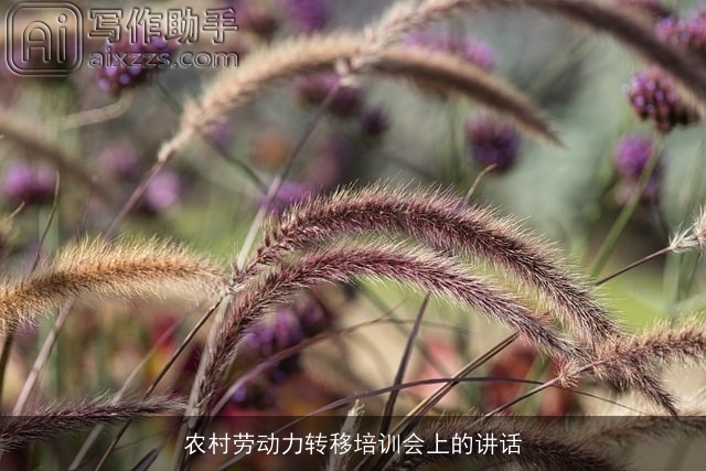 农村劳动力转移培训会上的讲话 农村劳动力转移培训会上的讲话