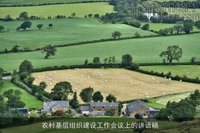 农村基层组织建设工作会议上的讲话稿 农村基层组织建设工作会议上的讲话稿