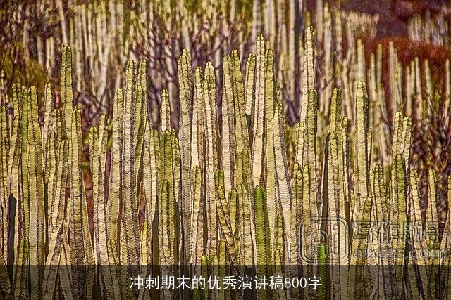 冲刺期末的优秀演讲稿800字 冲刺期末的优秀演讲稿800字