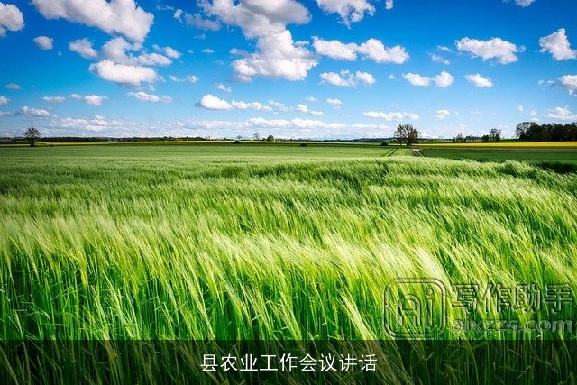 县农业工作会议讲话 县农业工作会议讲话