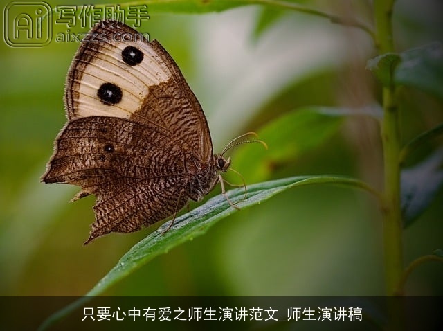 只要心中有爱之师生演讲范文_师生演讲稿 只要心中有爱之师生演讲范文_师生演讲稿