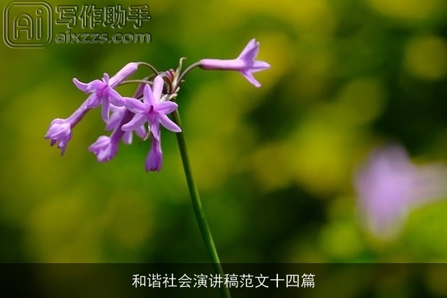 和谐社会演讲稿范文十四篇 和谐社会演讲稿范文十四篇