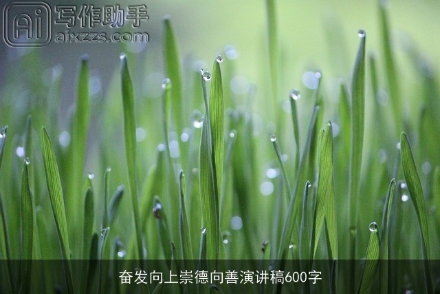 奋发向上崇德向善演讲稿600字 奋发向上崇德向善演讲稿600字