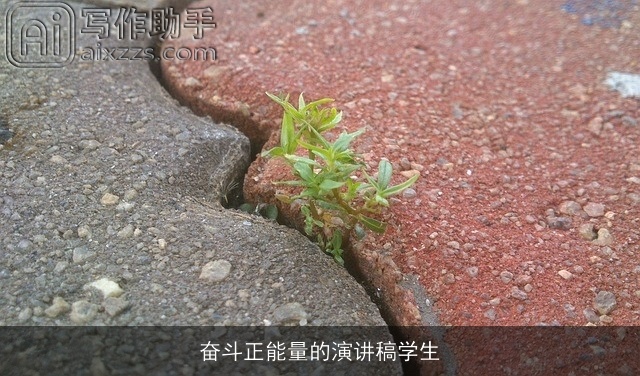 奋斗正能量的演讲稿学生 奋斗正能量的演讲稿学生