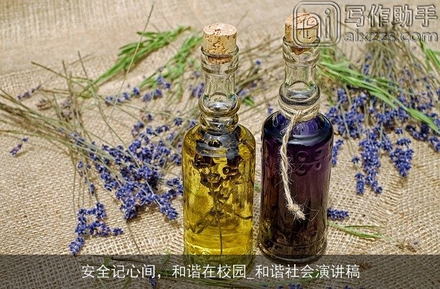 安全记心间,和谐在校园_和谐社会演讲稿 安全记心间,和谐在校园_和谐社会演讲稿