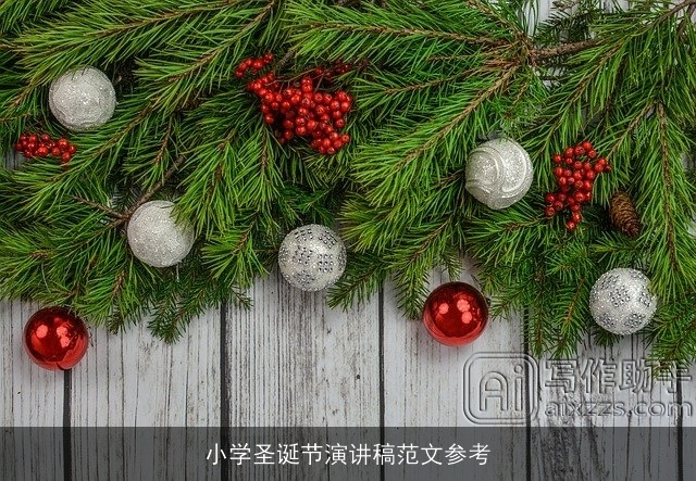 小学圣诞节演讲稿范文参考 小学圣诞节演讲稿范文参考