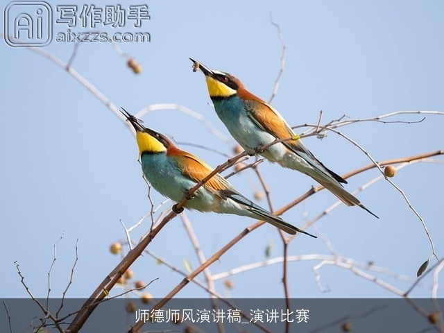 师德师风演讲稿_演讲比赛 师德师风演讲稿_演讲比赛