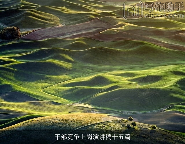 干部竞争上岗演讲稿十五篇 干部竞争上岗演讲稿十五篇