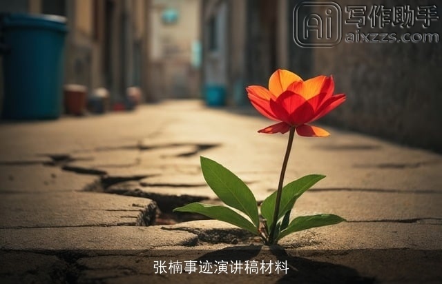 张楠事迹演讲稿材料 张楠事迹演讲稿材料