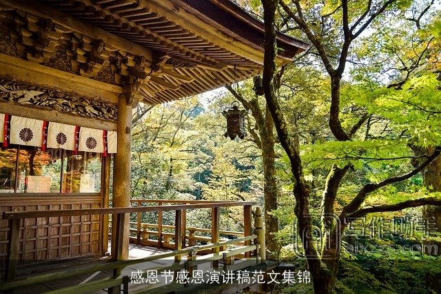 感恩节感恩演讲稿范文集锦 感恩节感恩演讲稿范文集锦