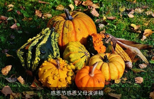 感恩节感恩父母演讲稿 感恩节感恩父母演讲稿