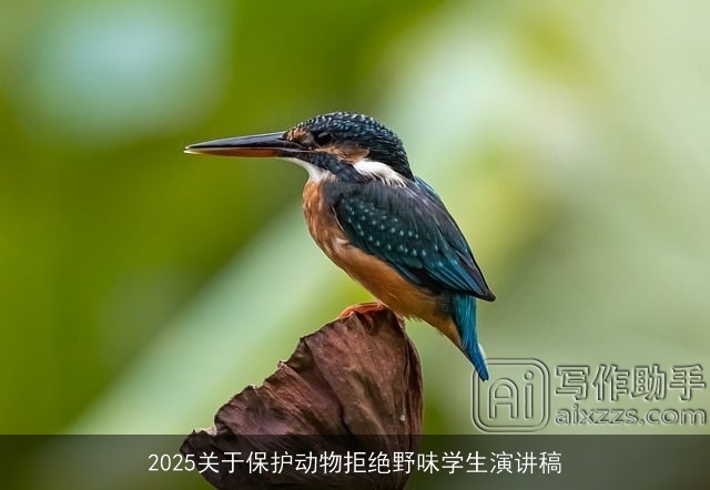 2025关于保护动物拒绝野味学生演讲稿 2025关于保护动物拒绝野味学生演讲稿