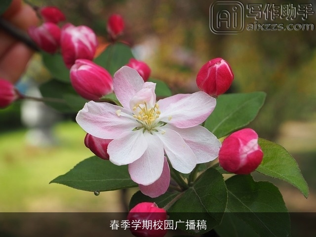 春季学期校园广播稿 春季学期校园广播稿