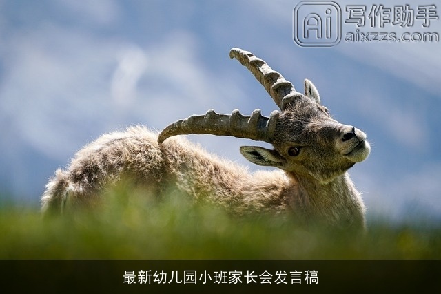 最新幼儿园小班家长会发言稿 最新幼儿园小班家长会发言稿