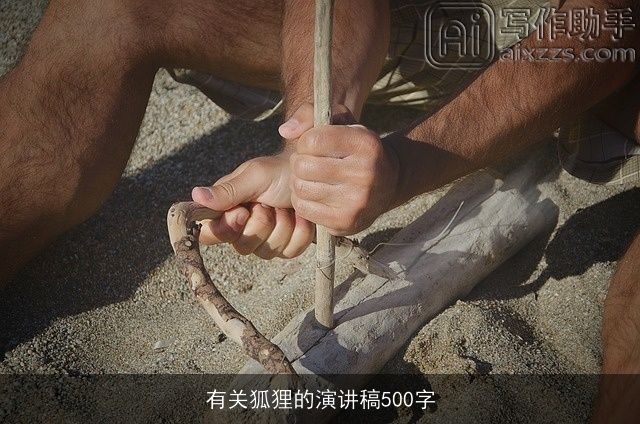 有关狐狸的演讲稿500字 有关狐狸的演讲稿500字