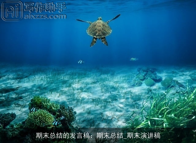 期末总结的发言稿:期末总结_期末演讲稿 期末总结的发言稿:期末总结_期末演讲稿