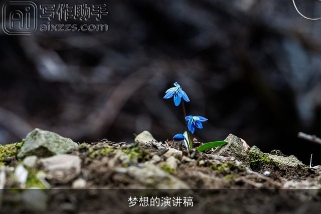 梦想的演讲稿 梦想的演讲稿