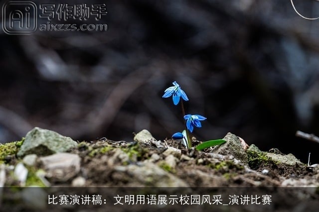 比赛演讲稿:文明用语展示校园风采_演讲比赛 比赛演讲稿:文明用语展示校园风采_演讲比赛