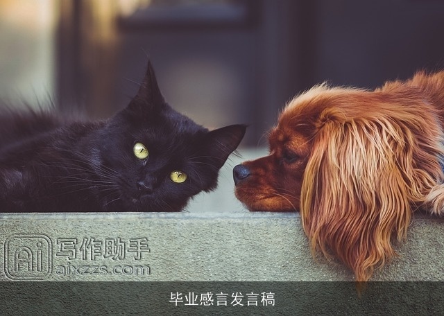 毕业感言发言稿 毕业感言发言稿