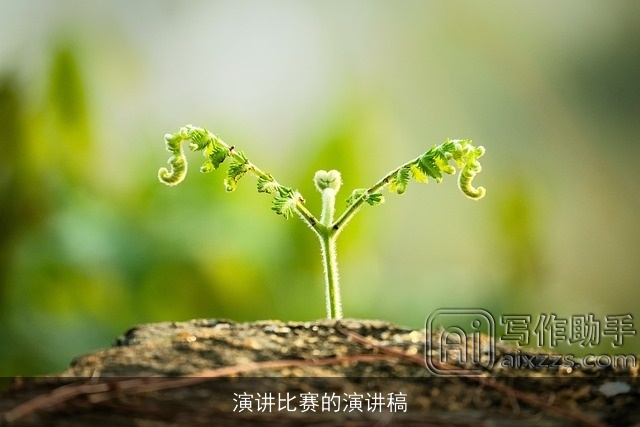 演讲比赛的演讲稿 演讲比赛的演讲稿