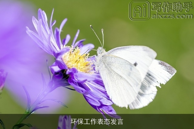 环保工作表态发言 环保工作表态发言